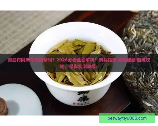 Betway全球电竞娱乐平台全面解析与最新优惠攻略