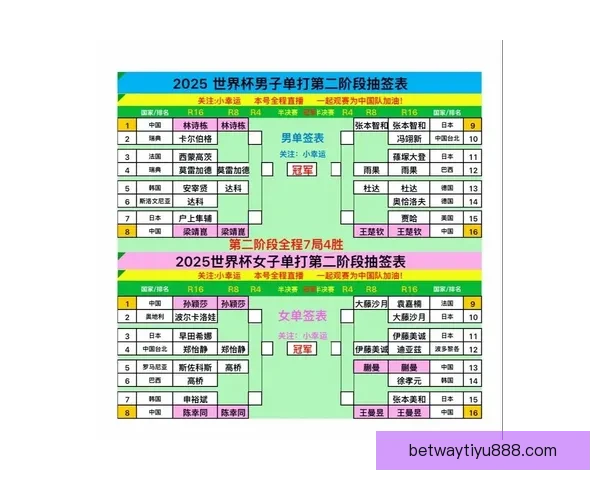 世界杯足球竞猜必胜攻略技巧详解助你精准预测赛果提高中奖率